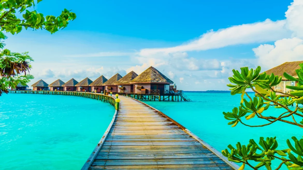 Sea-of-Stars-Maldives Sea-of-Stars-Maldives