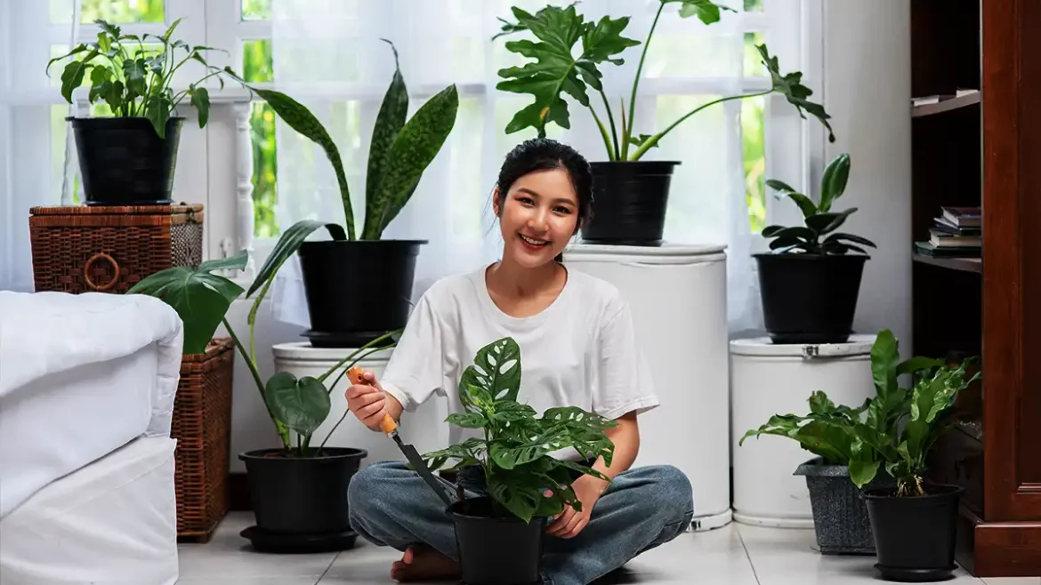 best indoor plants for clean air Best Indoor Plants for Cleaner Air